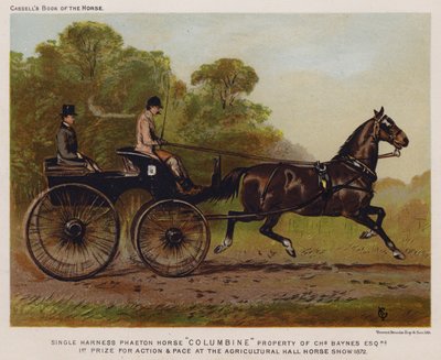 Single Harness Phaeton Horse "Columbine", a Charles Baynes Esq alkotó: English School