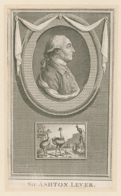 Sir Ashton Lever alkotó: English School