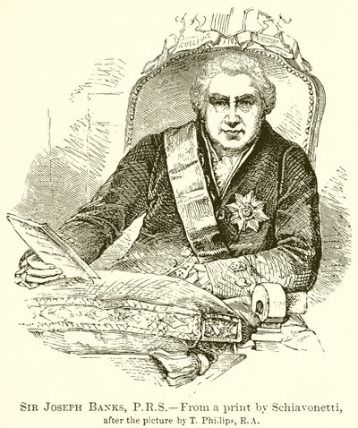 Sir Joseph Banks, P.R.S alkotó: English School