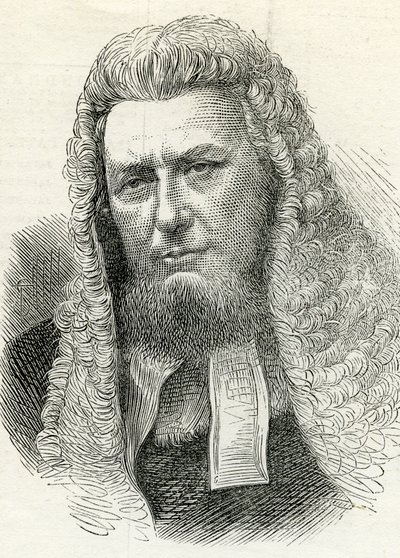 Sir Richard Paul Amphlett (1809-83) a The illusztrált London News-ból, 1874. február 7. alkotó: English School
