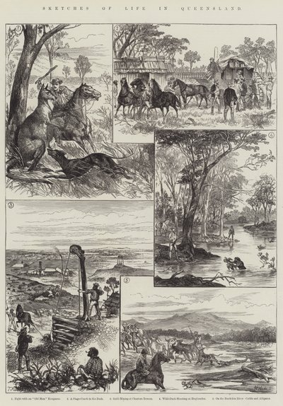 Vázlatok a queenslandi életről (metszet) alkotó: English School