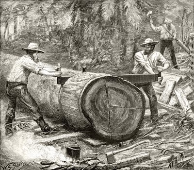 Splitters in the Bush, 1880 körül, Howard Willoughby „Australian Pictures” című művéből, a Religious Tract Society, London, 1886 alkotó: English School