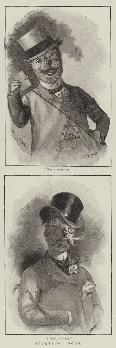 Jagdhunde von English School