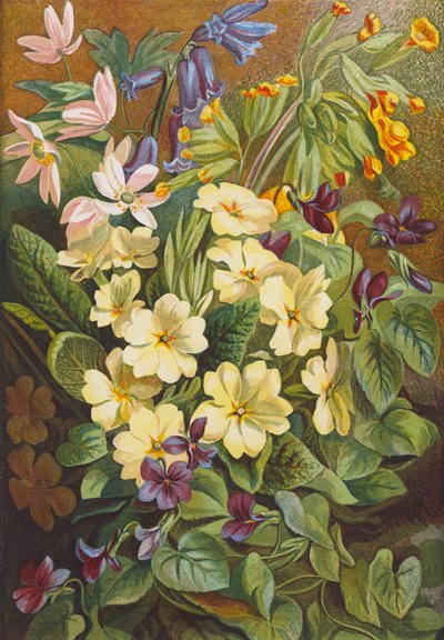 Tavaszi virágok (színes litográfia) alkotó: English School