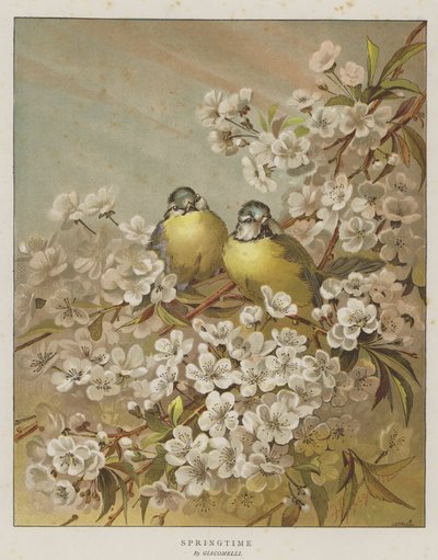 Frühling (Chromolitho) von English School