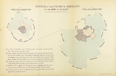 A Florence Nightingale által kidolgozott statisztikai diagram bemutatja a betegségek túlsúlyát a halálozási okok között a brit hadseregben a krími háború idején, 1854 áprilisától 1855 márciusáig és 1855 áprilisáig Ma. alkotó: English School