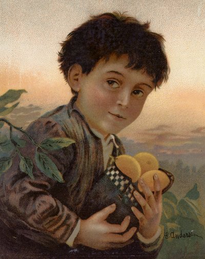 Lopott gyümölcs (színes litó) alkotó: English School