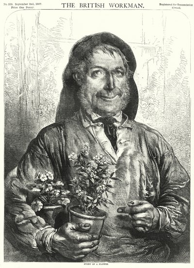Egy virág története (metszet) alkotó: English School