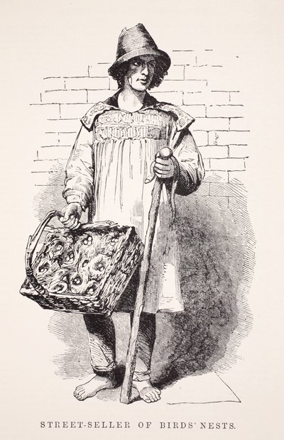 Madárfészkek utcai eladója, Henry Mayhew illusztrációja a London Labor and London Poor-ból, pub. 1862 alkotó: English School