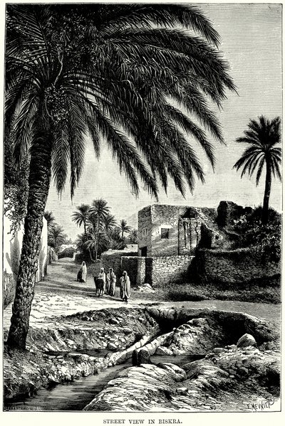 Street View in Biskra (metszet) alkotó: English School