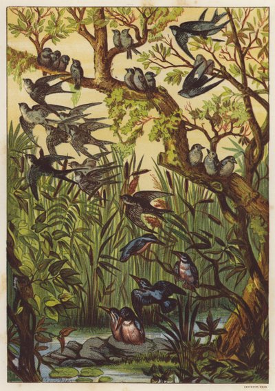 Nyári este madarakkal (színes litó) alkotó: English School