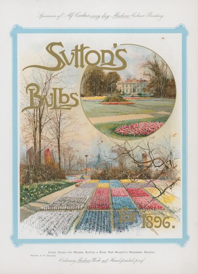Suttons izzók 1896-ra alkotó: English School