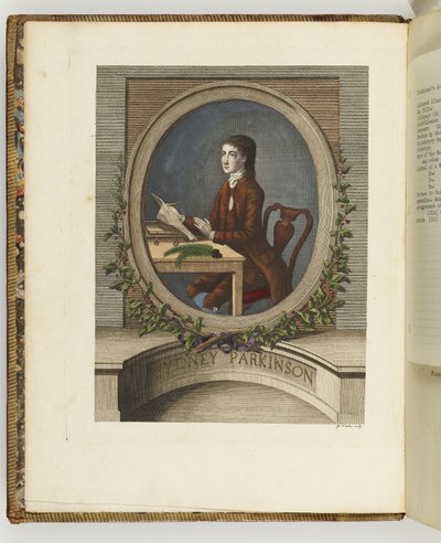 Sydney Parkinson, illusztráció a „Déli-tengeri utazás naplója: Őfelsége hajóján, az Endeavourban” alkotó: English School