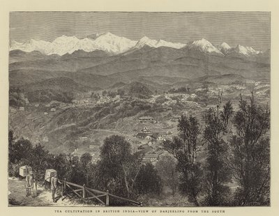 Teatermesztés Brit-Indiában, Darjeeling kilátása délről (metszet) alkotó: English School