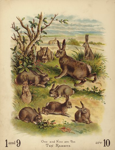 Tíz nyúl (chromolitho) alkotó: English School