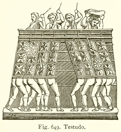 Testudo alkotó: English School