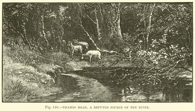 Thames Head, a folyó neves forrása alkotó: English School