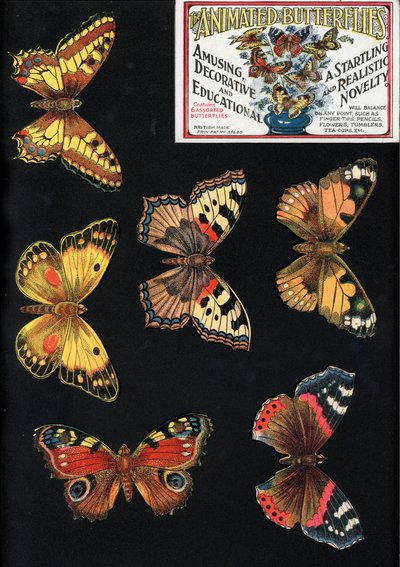 Az animált pillangók, mulatságos, dekoratív és tanulságos, megdöbbentő és valósághű újdonság (színes litho) alkotó: English School