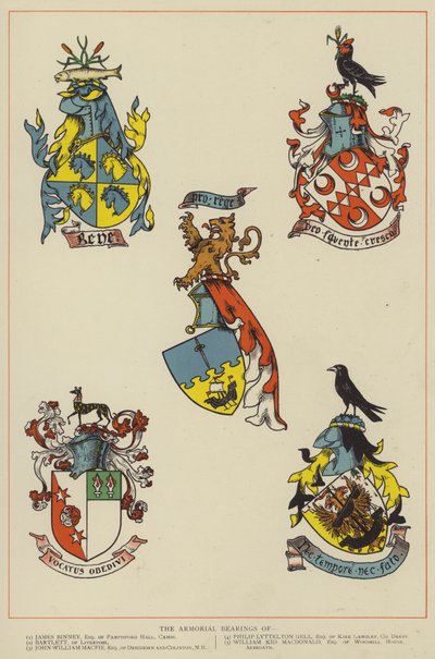 A fegyveres csapágyak (színes litó) alkotó: English School