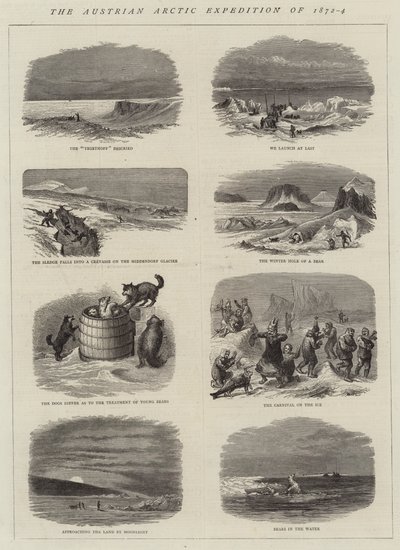 Az osztrák sarkvidéki expedíció 1872-4 (metszet) alkotó: English School