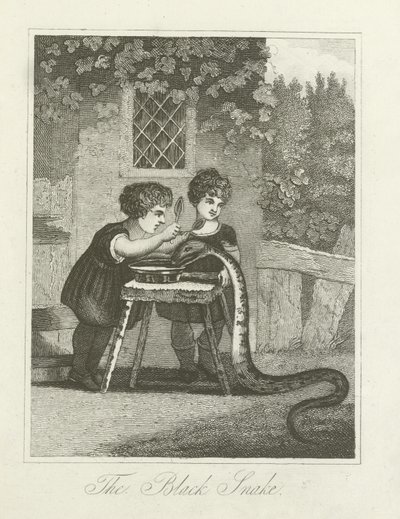 A Fekete Kígyó alkotó: English School