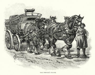 A Brewer