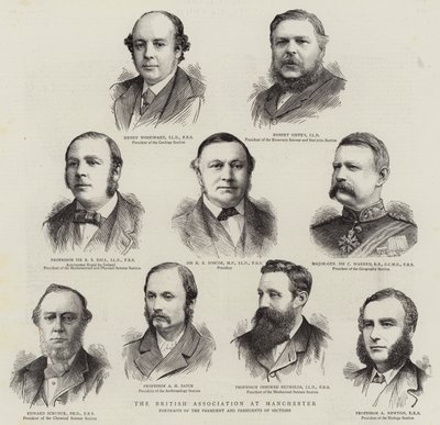 A Manchesteri Brit Szövetség (metszet) alkotó: English School
