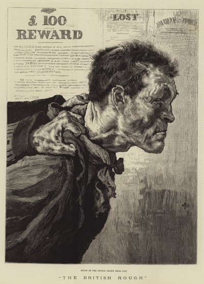 The British Rough (metszet) alkotó: English School