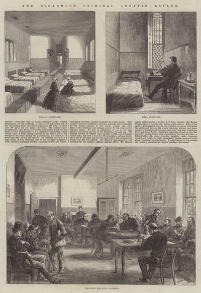 The Broadmoor Criminal Lunatic Asylum (metszet) alkotó: English School