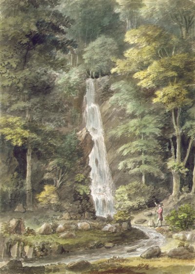 A Cascade-vízesés a Hestercombe Gardens-ben (wc papíron) alkotó: English School