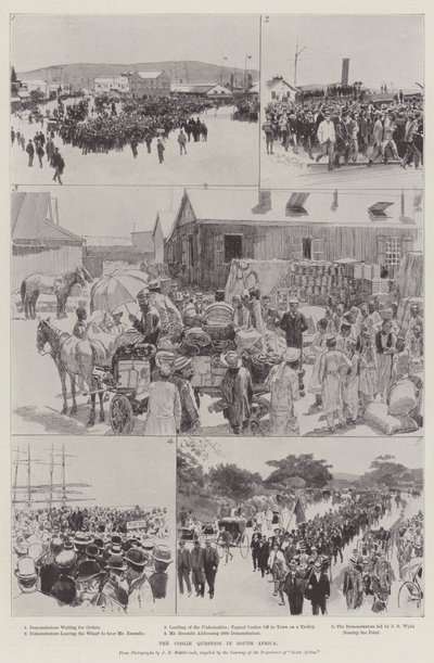 A Coolie-kérdés Dél-Afrikában (metszet) alkotó: English School