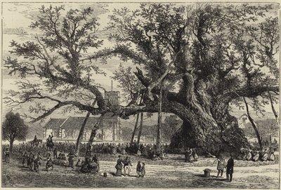 A Cowthorpe tölgy alkotó: English School