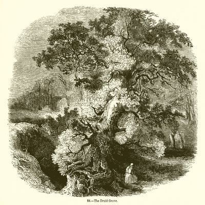 A Druida Grove alkotó: English School