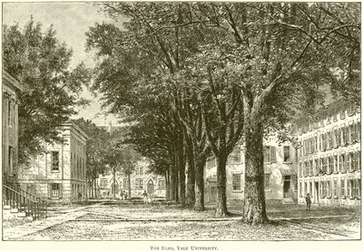 The Elms, Yale Egyetem alkotó: English School