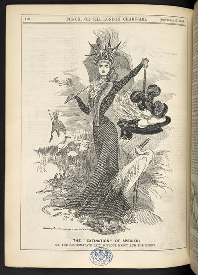 A fajok "kihalása"; Vagy a könyörület nélküli divattáblás hölgy és a kócsagok, a „Punch, or the London Charivari” című művéből, 1899. szeptember 6. (metszet) alkotó: English School