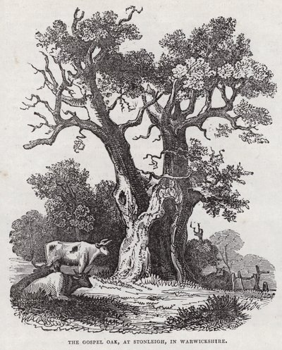 The Gospel Oak, Stonleigh, Warwickshire (metszet) alkotó: English School