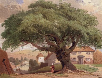 The Great Ash, Surrey-i jelenet (színes litó) alkotó: English School