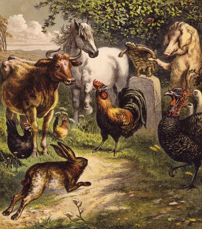 A nyúl és a teknősbéka (színes litográfia) alkotó: English School