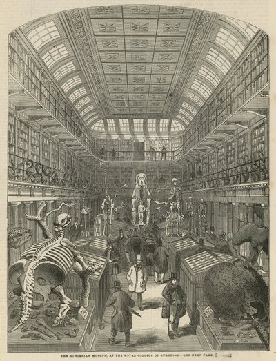 A Hunterian Múzeum a Royal College of Surgeons-ben alkotó: English School