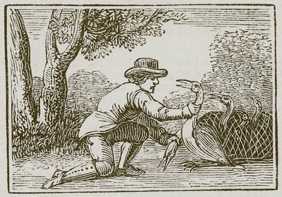 A földműves és a gólya (metszet) alkotó: English School