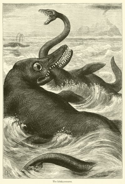 Az Ichthyosaurus (metszet) alkotó: English School