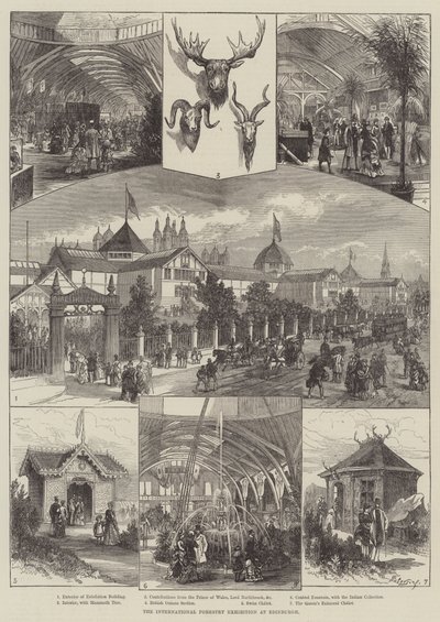 Nemzetközi Erdészeti Kiállítás Edinburgh-ban (metszet) alkotó: English School
