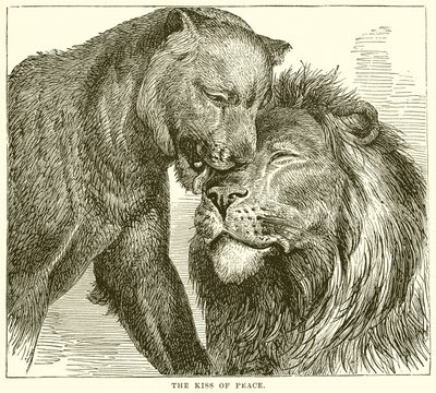 A béke csókja alkotó: English School