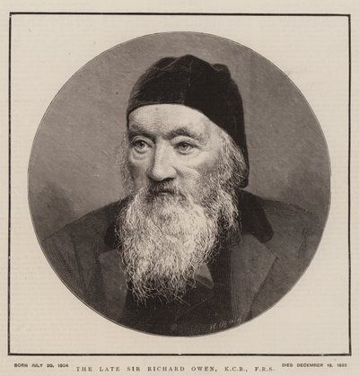 A néhai Sir Richard Owen, KCB, FRS (metszet) alkotó: English School