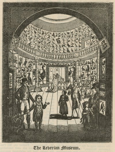 A Leverian Múzeum alkotó: English School