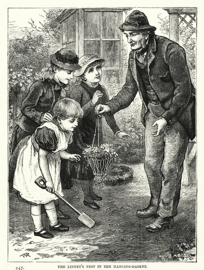 A hálófészek a függőkosárban (metszet) alkotó: English School