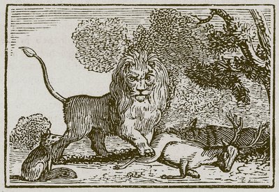 Az oroszlán, a szamár és a róka (metszet) alkotó: English School