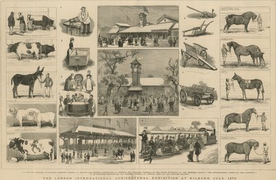 Londoni Nemzetközi Mezőgazdasági Kiállítás Kilburnben, 1879. július alkotó: English School
