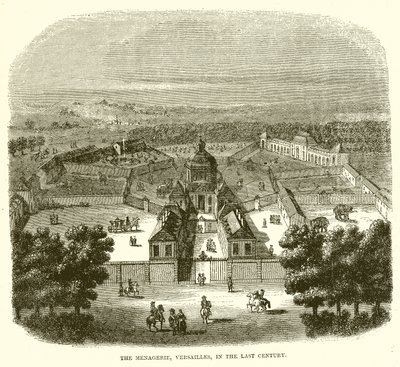 A versailles-i menazséria a múlt században alkotó: English School