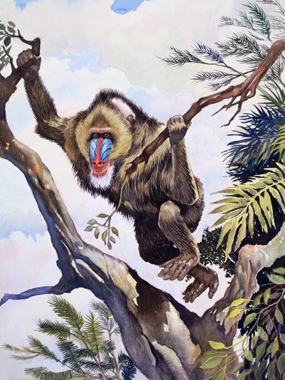 A majompásztor, a "Természet csodái"-ból alkotó: English School